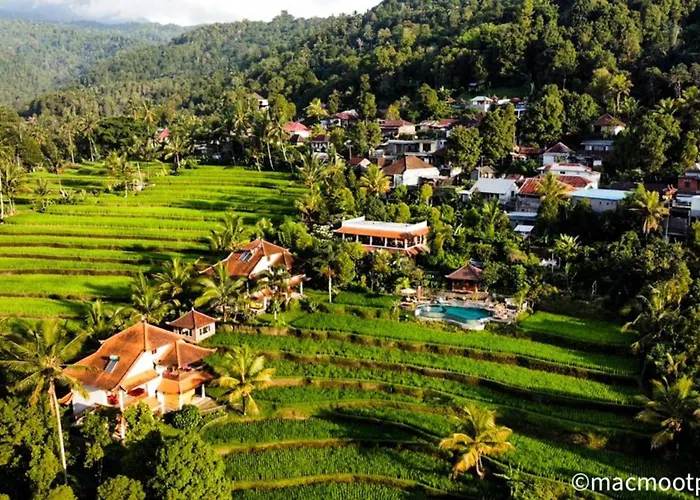 Lesong And Restaurant Hotel Munduk