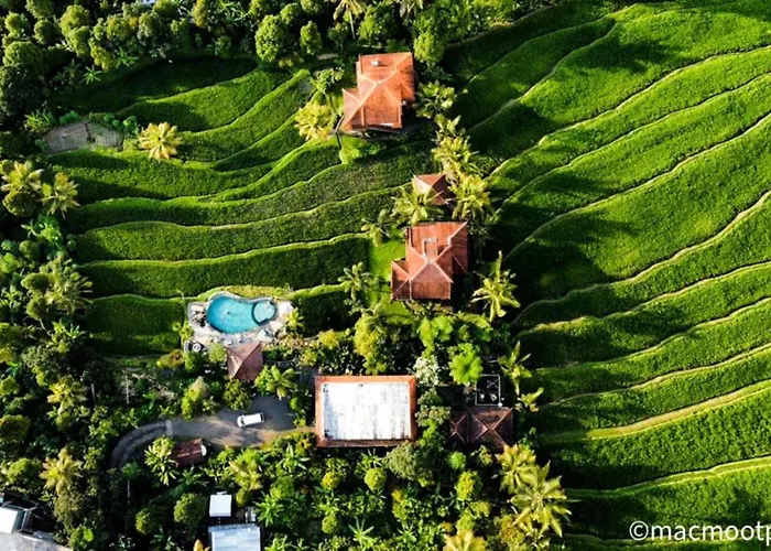Lesong And Restaurant Hotel