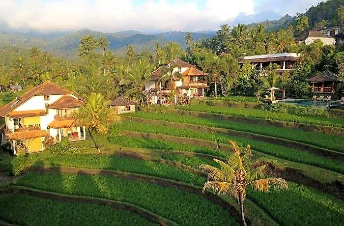 Lesong And Restaurant Hotel Munduk
