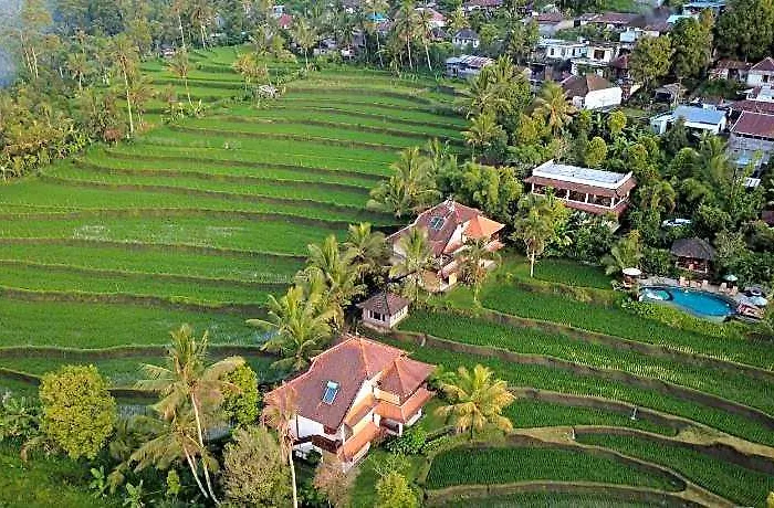 Lesong And Restaurant Munduk