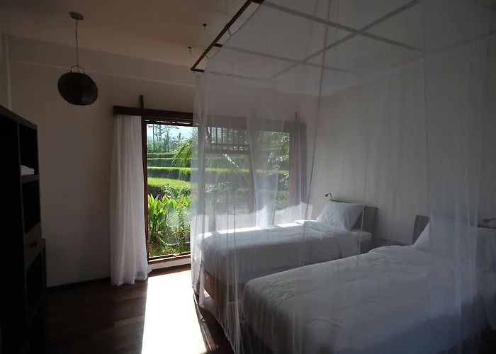 Lesong And Restaurant 2*
